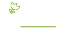Bluebell Relocation Services 