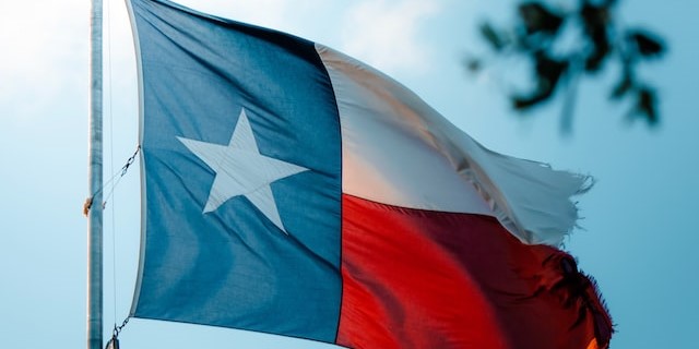 Image of texas' flag flowing on the wind