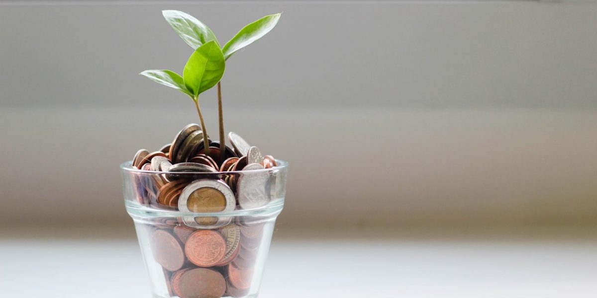Image of a plant and pennies