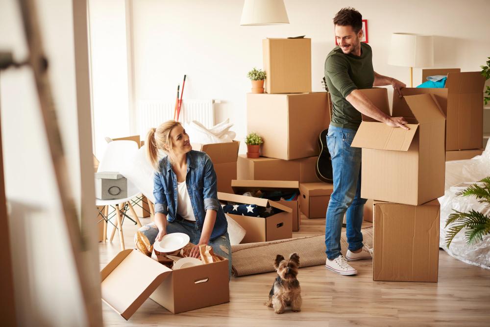 a woman and a man among moving boxes in an apartment